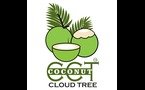 coconut cloud tree franchise