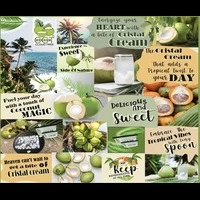coconut cloud tree franchise